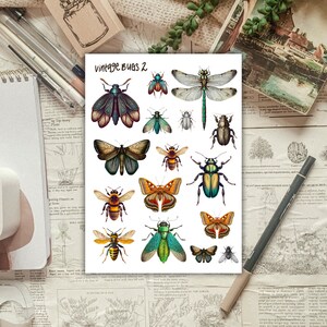 Vintage Bugs 2 Sticker Sheet, Aesthetic Vintage Ephemera Stickers for Planners and Journals, Authentic Vintage Sticker and Planner Deco