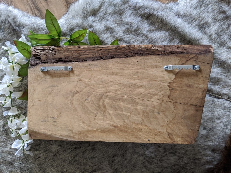 Walnut Dog Leash and Treat Holder
