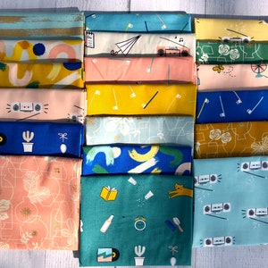 Whatnot 19part Half Yard Bundle von Rashida Coleman Hale für Ruby Star Society 19st