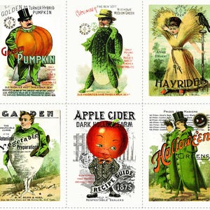Pumpkin Patch Seedy Characters PANEL by J Wecker Frisch