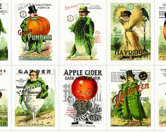 Pumpkin Patch Seedy Characters PANEL by J Wecker Frisch