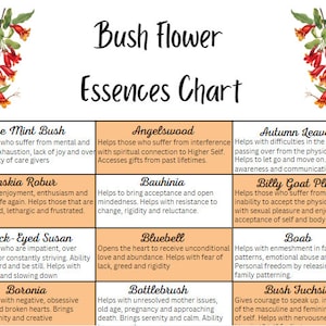 Bush Flower Essence-grafiek (afdrukbaar)