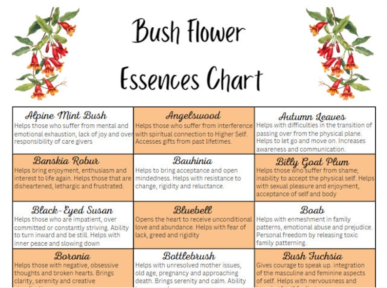 Bush Flower Essence Chart printable Etsy