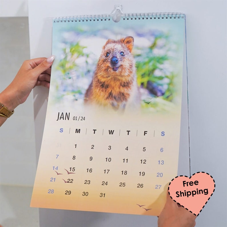 2024 Quokka Fun Calendar Premium Etsy