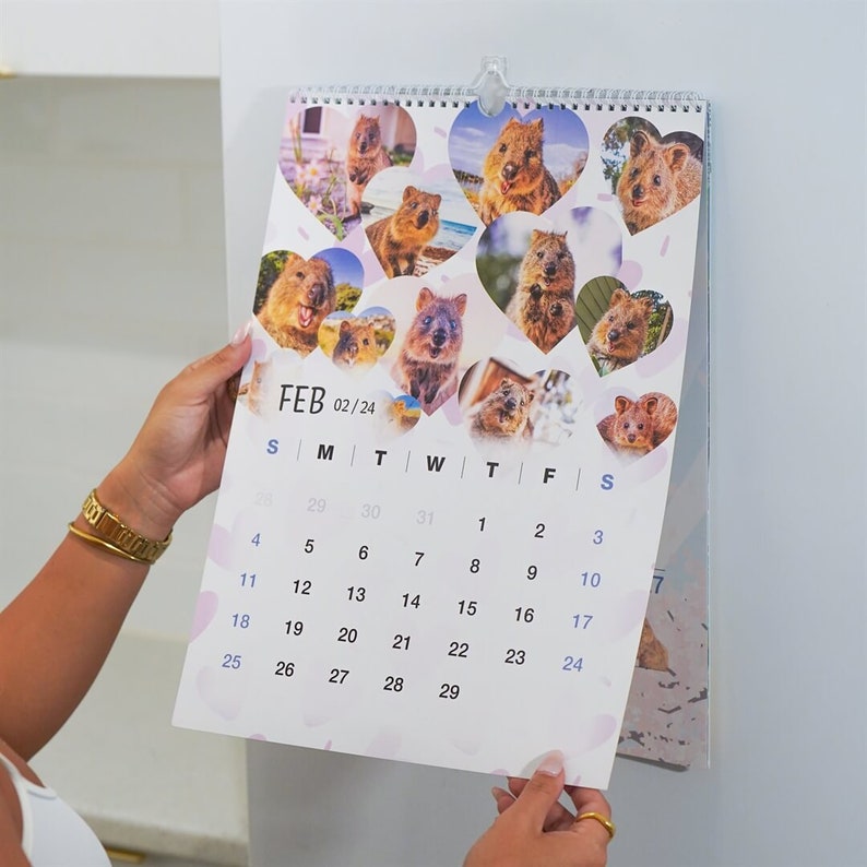 2024 Quokka Fun Calendar Premium Etsy