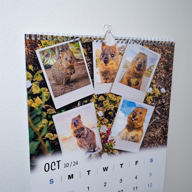 2024 Quokka Fun Calendar Premium Etsy