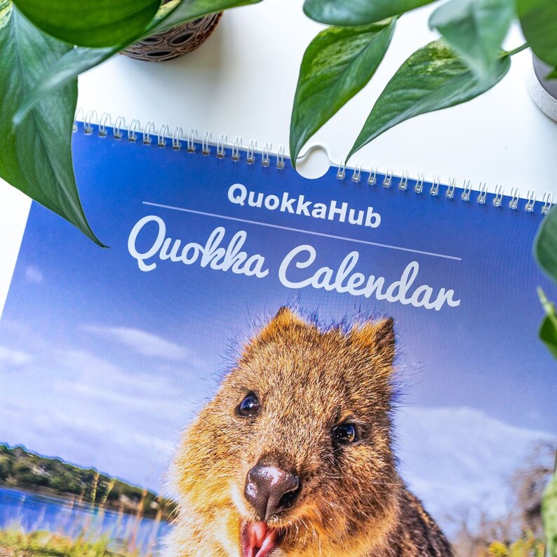 2023 Quokka Calendar Premium Edition Etsy