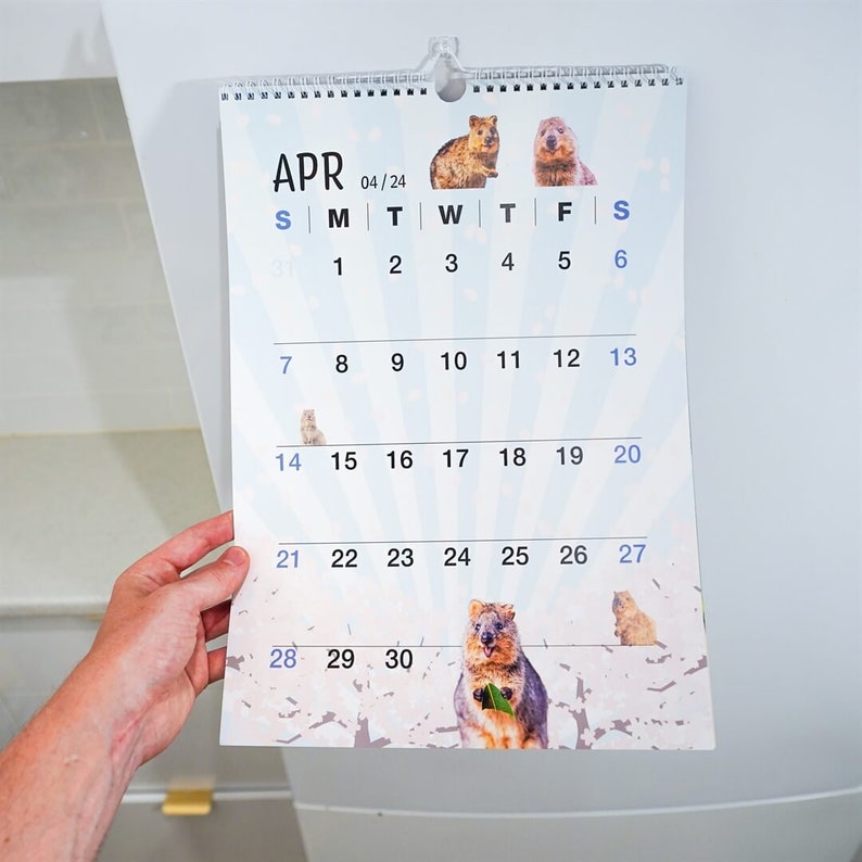 2024 Quokka Fun Calendar Premium Etsy