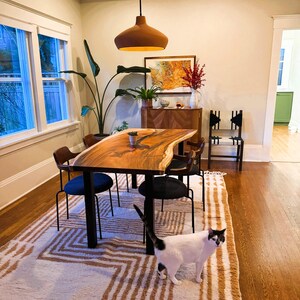 May include: A live edge wood dining table with black metal legs, surrounded by four dark blue upholstered chairs. A white and tan geometric patterned area rug with fringe sits underneath. A white cat with black spots stands on the rug.