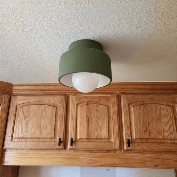 Flush mount light 2024 with night light