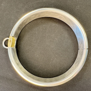 May include: A circular silver-toned metal collar featuring a brushed finish. The band includes a small gold-toned metal hinge mechanism on one side with a protruding loop attachment. The design is simple, featuring a smooth, continuous metallic surface.