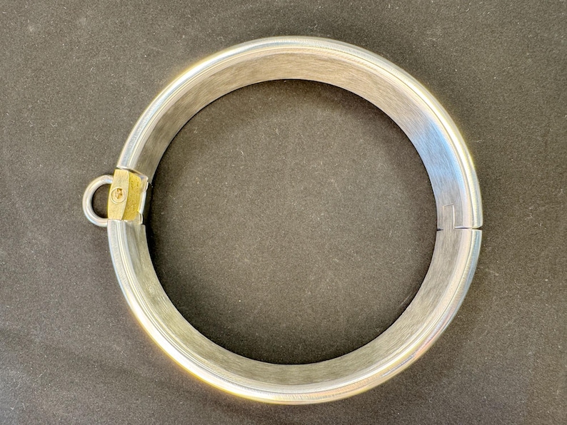 May include: A circular silver-toned metal collar featuring a brushed finish. The band includes a small gold-toned metal hinge mechanism on one side with a protruding loop attachment. The design is simple, featuring a smooth, continuous metallic surface.