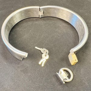 May include: A brushed silver-tone metal hinged collar with a locking mechanism. The collar features a small brass-colored padlock attached to one end, a separate metal ring attachment, and a set of two small silver-tone keys on a ring.