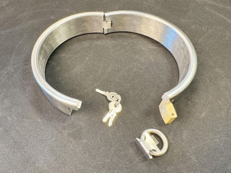 May include: A brushed silver-tone metal hinged collar with a locking mechanism. The collar features a small brass-colored padlock attached to one end, a separate metal ring attachment, and a set of two small silver-tone keys on a ring.