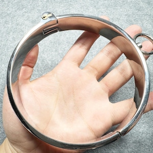 Op de afbeelding: Een zilveren metalen halsband met een scharnierend slot en een kleine ring aan de zijkant.