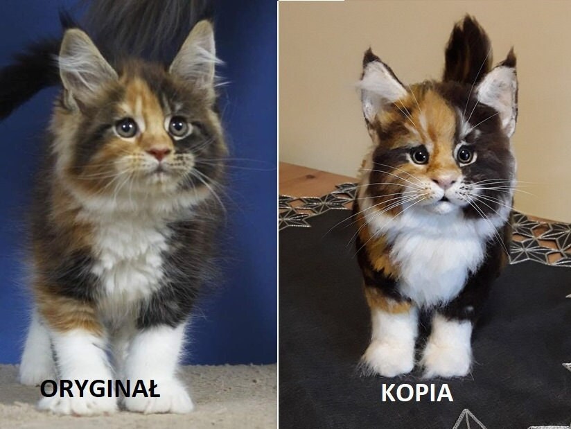 Kotek Maine Coon wykonany ręcznie z wełny czesankowej. Jak Etsy Polska