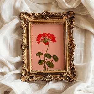 Red Geranium Oil Painting – Red Flower Impasto Textured Original Art – Botanical Wall Decor – Original Red Floral Artwork