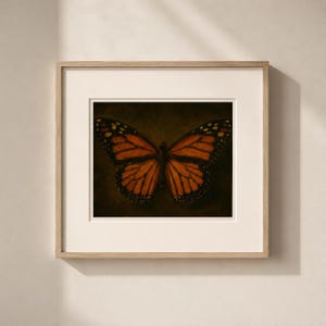 Pu&ograve; includere: Opera d'arte incorniciata con una farfalla monarca con ali arancioni e nere. La farfalla &egrave; centrata su uno sfondo scuro, incorniciata in un passe-partout bianco e una cornice in legno chiaro. Un'opera a tema natura.