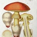 see more listings in the decorative painting section