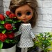Uta Vogel reviewed Blythe Dress, Pullip Dress, 12 inch Doll Clothes, Blythe Doll Clothes