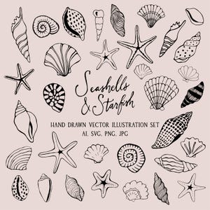 May include: A set of hand-drawn black and white illustrations of seashells and starfish on a pale pink background. The text "Seashells & Starfish" is written in cursive. The set includes various shell shapes and starfish.