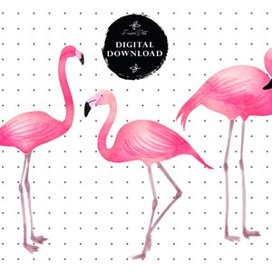 May include: Three pink watercolor flamingo illustrations on a white background with black polka dots. The flamingos are in different poses, with one standing tall, one with its head tucked in, and one with its neck curved.
