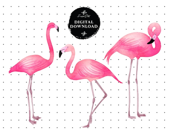 Flamingo Clipart Png Pink Flamingo Tshirt Cutting Files Pastel Commercial Use