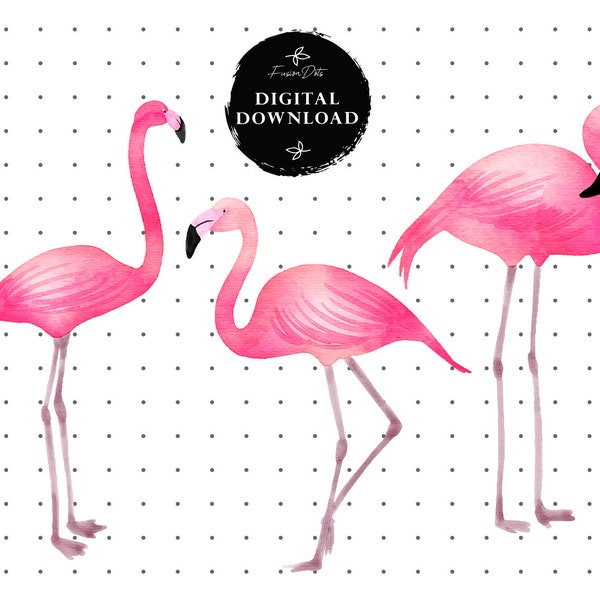 Flamingo Clipart Png Pink Flamingo Tshirt Cutting Files Pastel Commercial Use