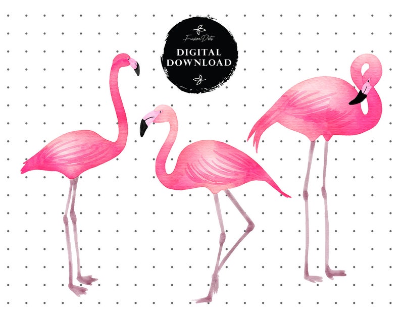 May include: Three pink watercolor flamingo illustrations on a white background with black polka dots. The flamingos are in different poses, with one standing tall, one with its head tucked in, and one with its neck curved.