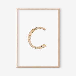 Buchstaben Poster | Buchstabe C | A4 A3 | Namensbild Kinderbild Geschenk Geburt Baby Kita Print Kinderposter Kinder Spielzimmer Geburtstag