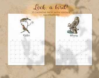 Look, a Bird! 2020 Calendar | 12 Pages with Vintage Illustrations | Monthly Wall Calendar | Bird calendar printable | INSTANT DOWNLOAD