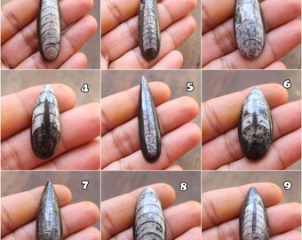 Lots of Natural Black Orthoceras Fossils smooth pear shape cabochon, Orthoceras cabochon for making jewelry