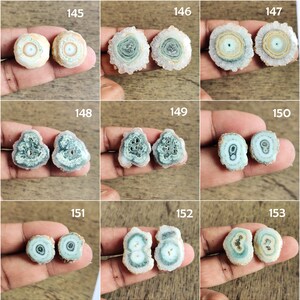 May include: A set of 12 agate slices with a variety of patterns and colors, including green, white, and brown. The agate slices are polished and have a smooth, shiny surface.