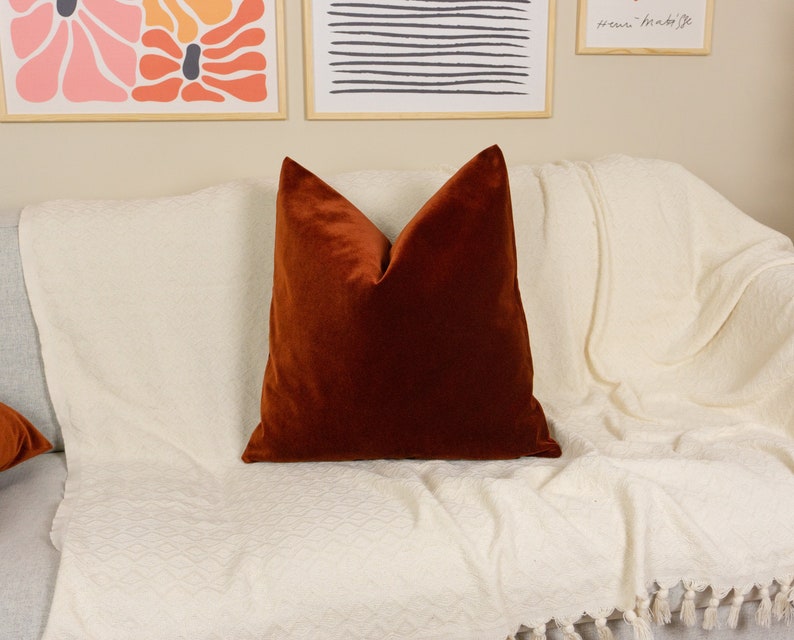 Velvet Terracotta Cushion