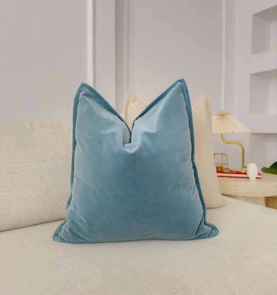 Duck egg blue throw pillows hotsell