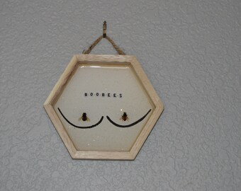 Boobees hexagon wooden wall hanging made with real bees sealed in resin