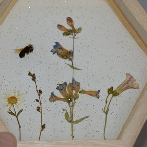 honeycomb wooden bee floral wall hanging made with real bees sealed in resin image 2