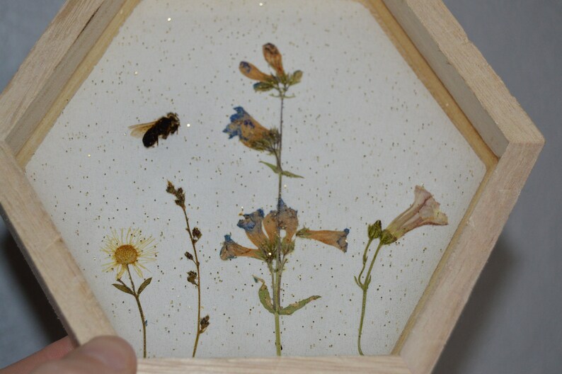 honeycomb wooden bee floral wall hanging made with real bees sealed in resin image 2