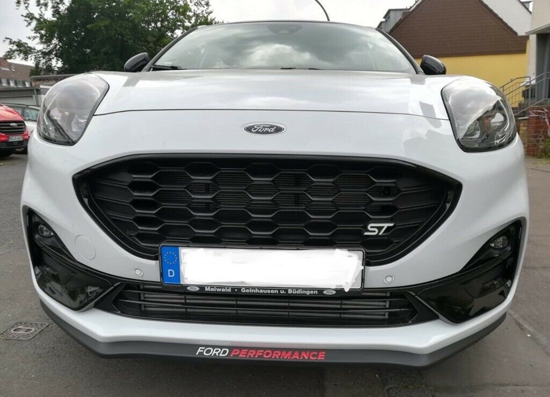 Ford top puma custom