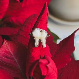 Op de afbeelding: Een zilveren ring met een tandvormig ontwerp wordt getoond op een levendige rode poinsettia bloem. De ring heeft een gedetailleerde, realistische tand, tegen de achtergrond van de dieprode bladeren van de plant. Een uniek sieraad.