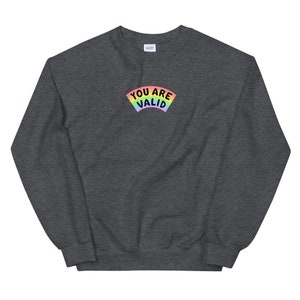 May include: A dark grey sweatshirt with a rainbow arc and the text "YOU ARE VALID" in black.