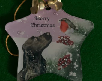 Christmas tree ornament featuring a Field spaniel and a robin