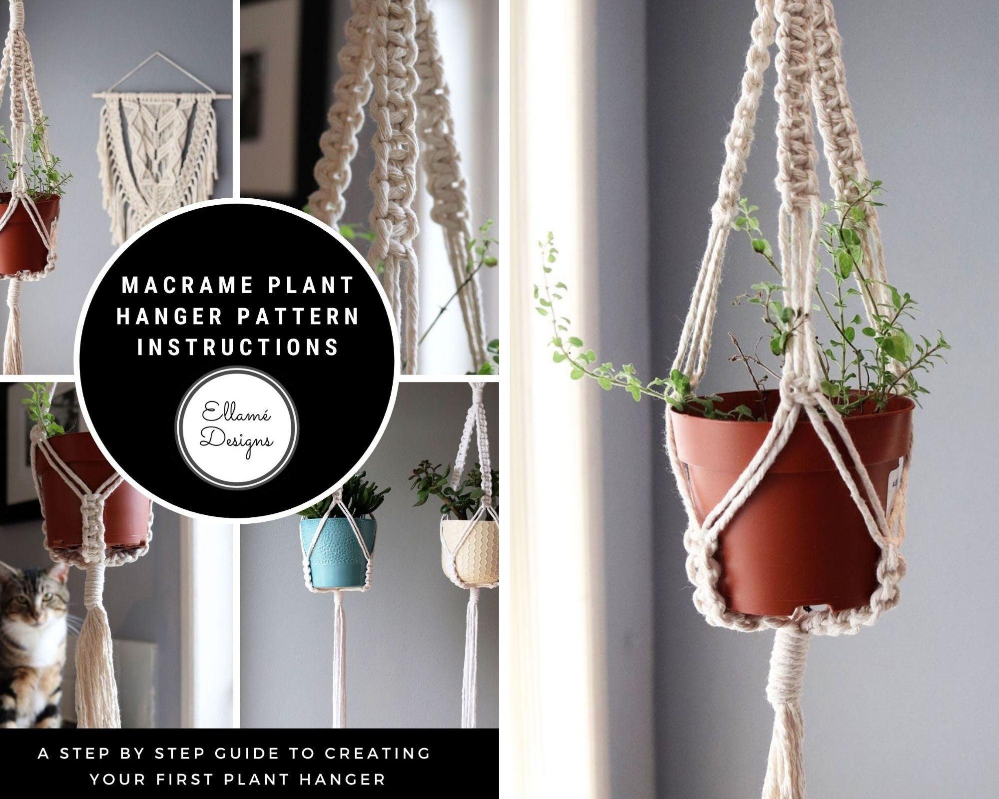 Macrame Kit, Makes 3 DIY Plant Hangers for Teens & Adult Beginners, Craft  Supplies for Boho Art Project-3 Custom Color Macrame Cord, Wooden Rings 