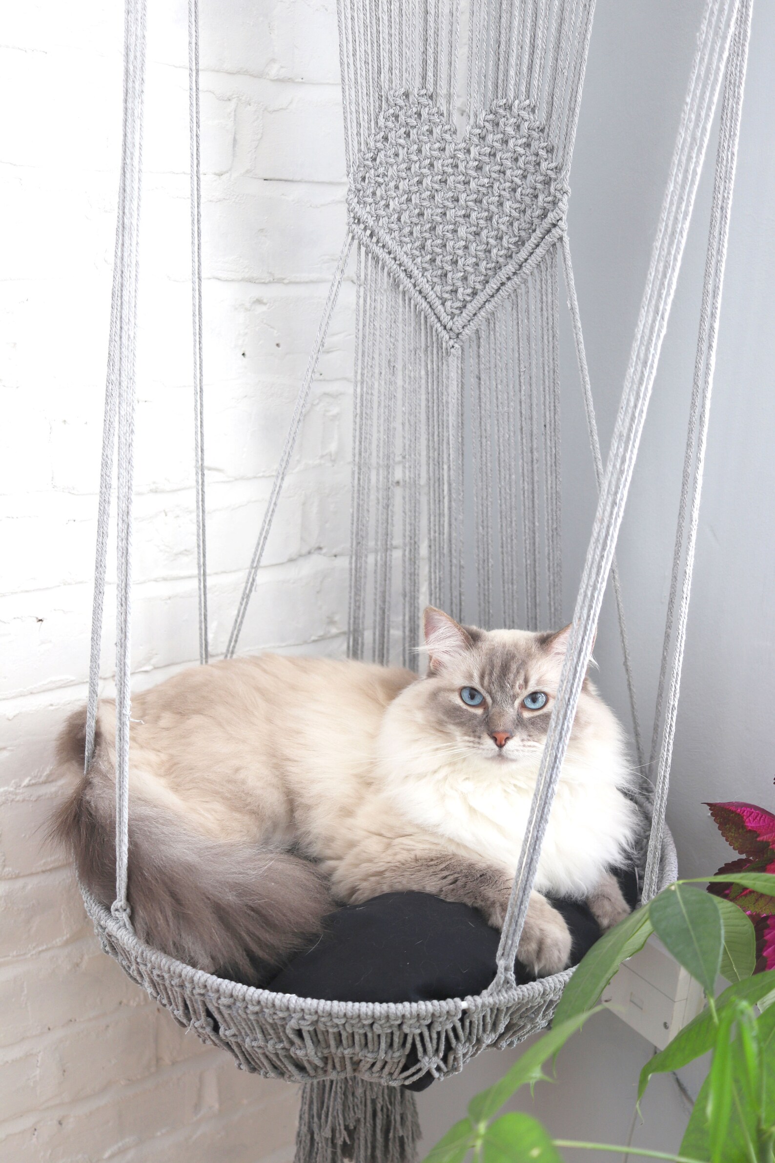Macrame hanging cotton cat basket bed pet nest hammock cat Etsy