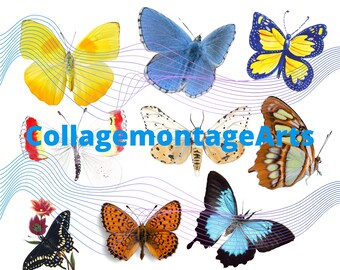 Butterfly printable files, digital butterfly files, journal images, printable ephemera, butterfly clip art, journals, digital butterflies