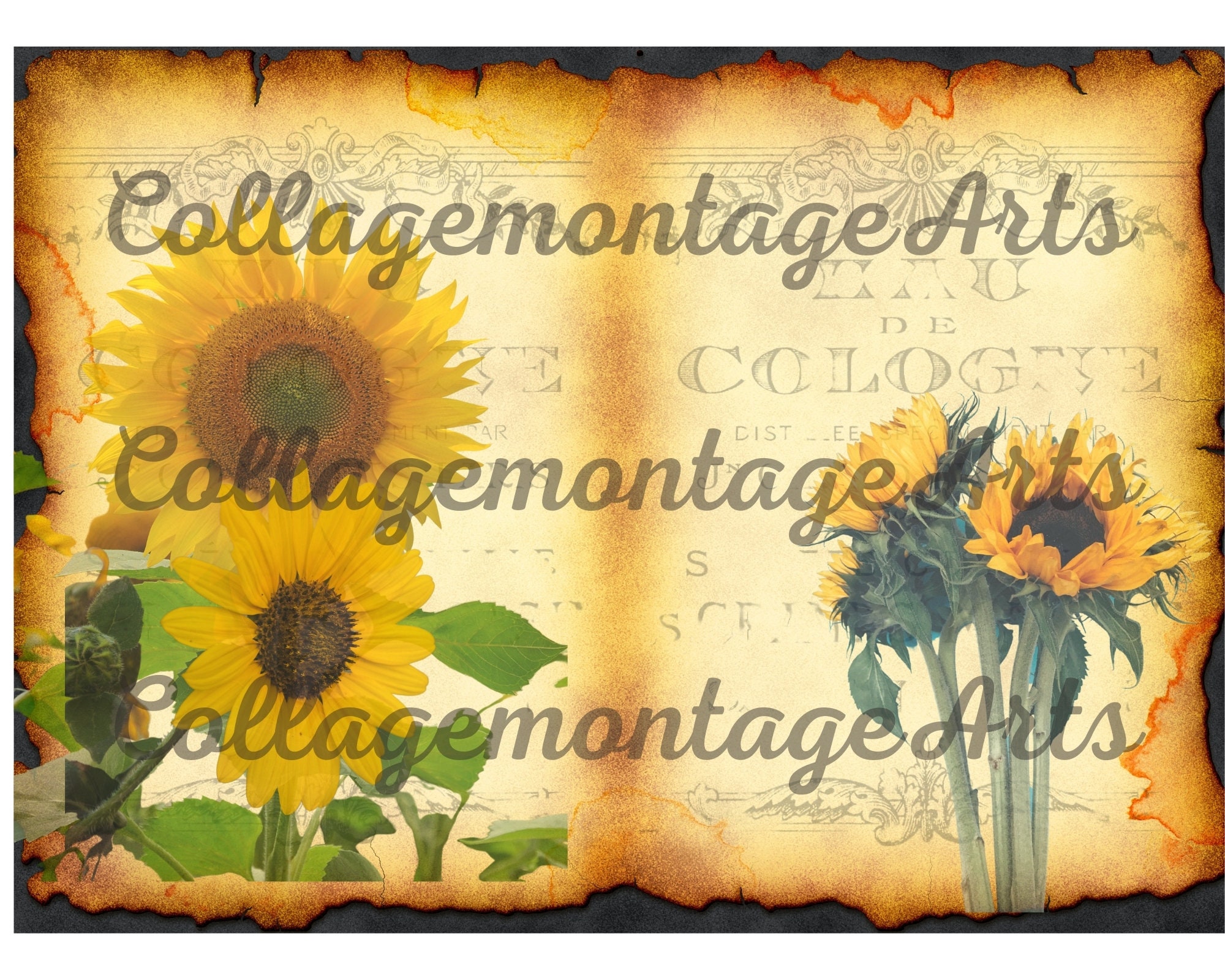 Sunflower journal pages sunflowers digitals printable Etsy