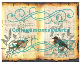 Digitale Hintergrundseiten, druckbare Papiere, Vintage-Vogelseiten, Journaling, Decoupage, Junk Journals, Collagepapiere, Mischtechnik