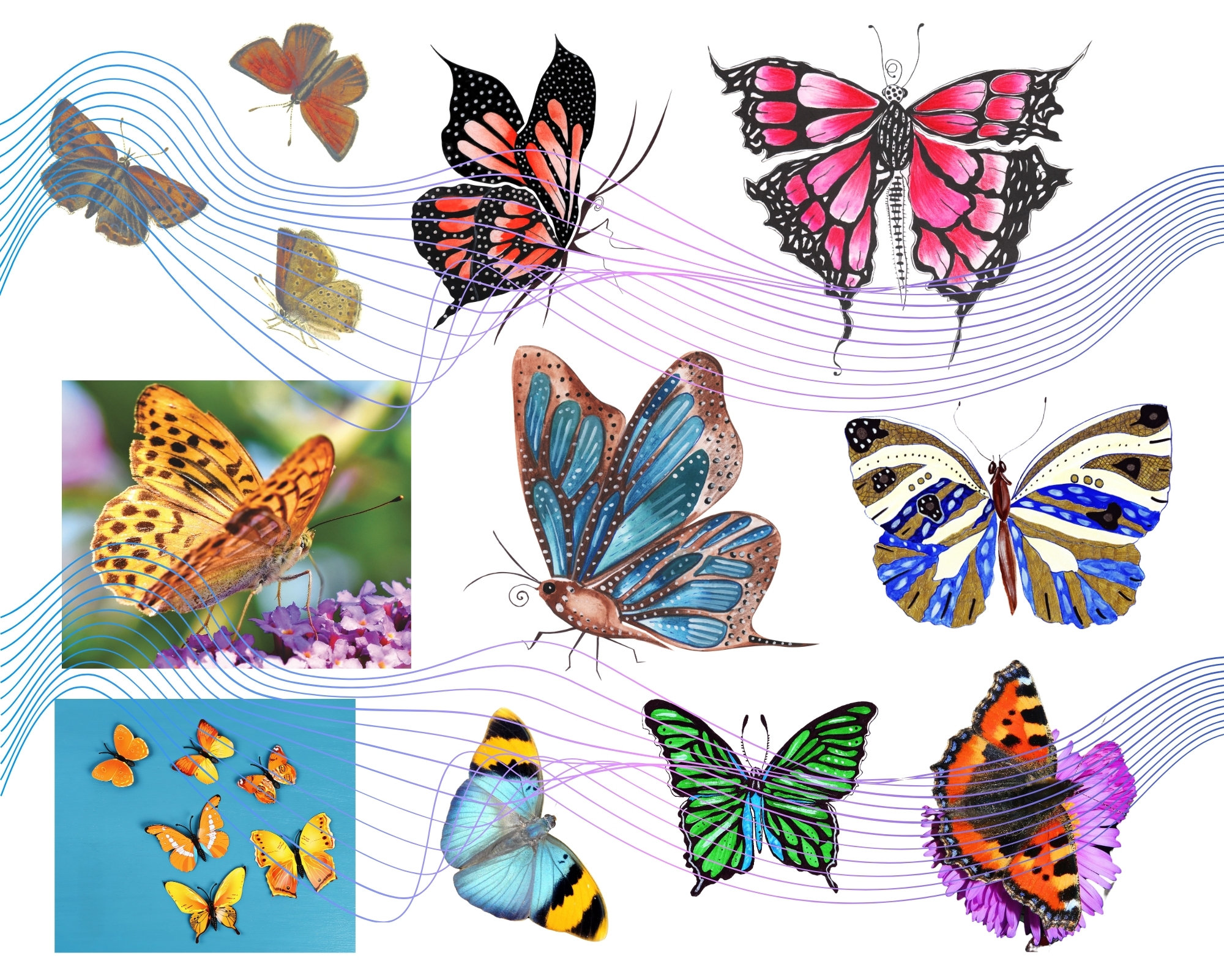 Butterfly Printable Files, Digital Butterfly Files, Journal Images ...