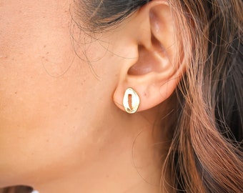 Cowrie Shell Gold Studs