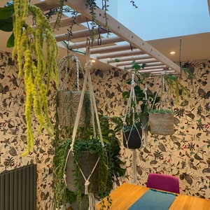 May include: A wooden ladder hanging from the ceiling with four macrame plant hangers. Each hanger holds a potted plant. The plants are hanging over a wooden table with a blue runner and a bowl of fruit. The background is a white wall with a floral pattern.